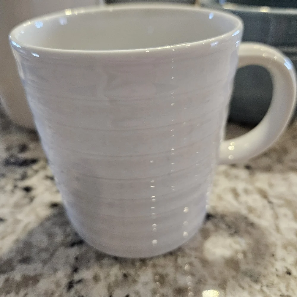 Elegant White Crate And Barrel Ceramic Mug